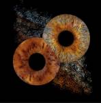 Delphine BURTON - Delphine Burton photographe