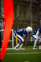 Charlie GARDERE - GARDERE CHARLIE